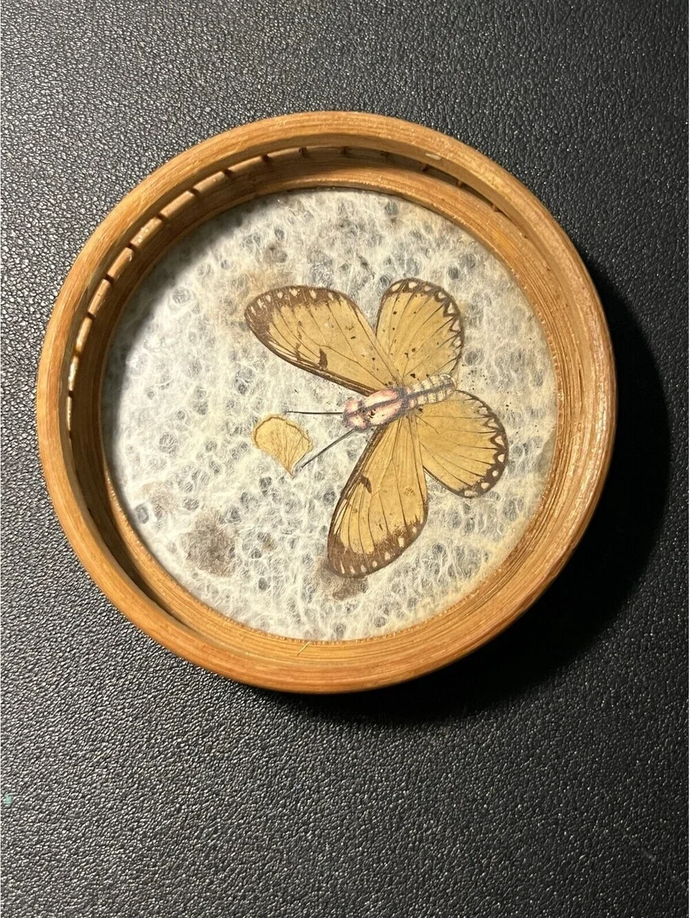 Japanese 1970s Set 5 Bamboo Pressed Butterfly Coasters & Serving Tray, 11x1.5”